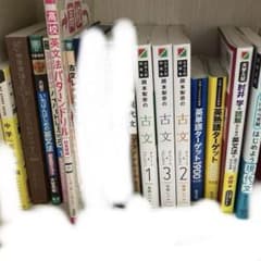 大学受験 参考書 まとめ売り（英文法・古文・現代文・ターゲット等） 大学受験 参考書 まとめ売り（英文法・古文・現代文・ターゲット等