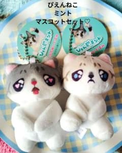 피엔 고양이 민트 마스코트 세트