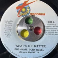 4114 レゲエ レコード 7インチ THINGS & TIME riddim - メルカリ