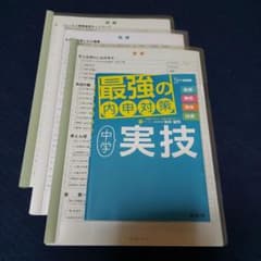 m79419348993_1.jpg?1757372629