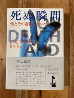 死ぬ瞬間 死とその過程についてのサムネイル