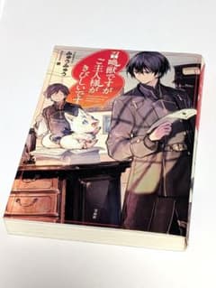 召喚獣ですがご主人様がきびしいですのサムネイル