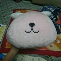 カピバラさんのぬいぐるみのサムネイル
