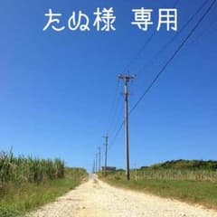 たぬ様 専用☆XGSのサムネイル