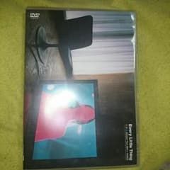 エブリリトルシングのDVDのサムネイル