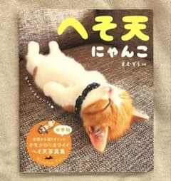 へそ天にゃんこ まむぞう 写真集のサムネイル