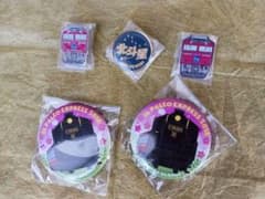 北斗星&EF81-80機関車ピンバッジ、SL PALEO EXPRESS2018 - メルカリ
