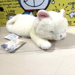 白猫 ぬいぐるみのサムネイル