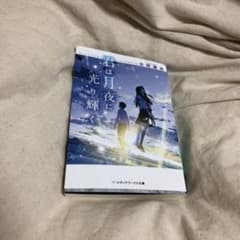 君は月夜に光り輝く 小説のサムネイル
