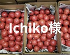 Ichiko様　麗夏トマト　5kのサムネイル