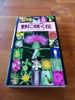 山渓ハンディ図鑑1　野に咲く花