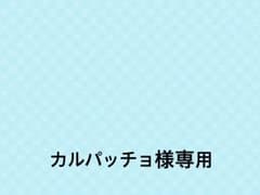 YONEX  キャップのサムネイル