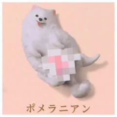 モザイヌ2 ポメラニアンのサムネイル