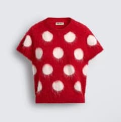 HARRY LAMBERT ZARA Disney ドット柄　起毛ニットトップスのサムネイル
