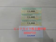ビックカメラ株主優待券(3000円分)のサムネイル