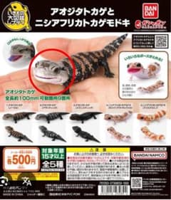 アオジタトカゲ カプセルトイのサムネイル