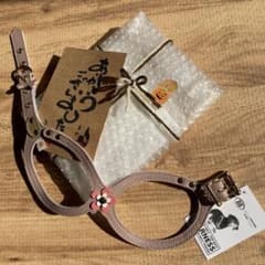 バディーベルト4号のサムネイル