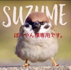 ホーネット250用カバー　しじみシート　【ぽーやん様専用です。】のサムネイル