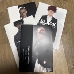 comme des garçons 26AW look bookセット - メルカリ