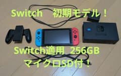 Nintendo Switch 初期型＋256GB マイクロSD付き！ - メルカリ