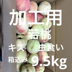 1.加工用 虫食い 摘果桃 若桃 箱込み9.5kg - メルカリ