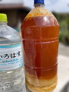 ★味糖度には自信のあり★日本はちみつ　無加熱＆無調整お得約５リッター ☆味糖度には自信のあり☆日本はちみつ 無加熱＆無調整お得約5