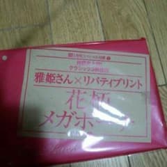 LEEの付録メガポーチのサムネイル