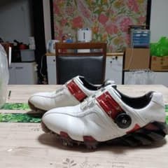 ミズノ製品ゴルフシューズ。サイズは25センチ3Eのサムネイル