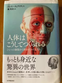 人体はこうしてつくられる ひとつの細胞から始まったわたしたちのサムネイル