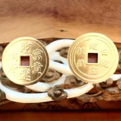 蛇窪神社 白蛇種銭 7月10日 一粒万倍日授与 金運 財運 パンフ2枚付のサムネイル