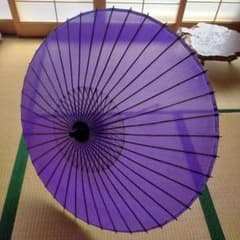【日本舞踊】舞傘・稽古傘のサムネイル