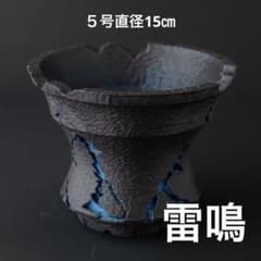 雷鳴〜紺碧〜 5号直径15㎝ 3dプリンター鉢 作家鉢 アガベ - メルカリ
