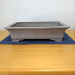 盆栽鉢 行山のサムネイル