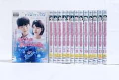 アンダーカバー　〜君を守りぬく〜　1-14 全14巻　全巻セット　DVD あなたが眠っている間に 【全14巻】 レンタル版DVD 全巻セット 韓国