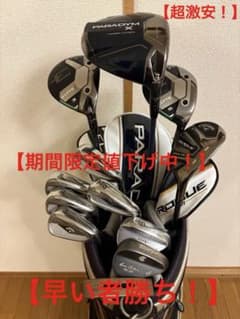 超激安】③ELYTE〜ROGUE ST（9本）+おまけ（PT&WG2本等） - メルカリ