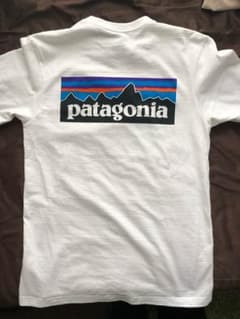 パタゴニアTシャツのサムネイル