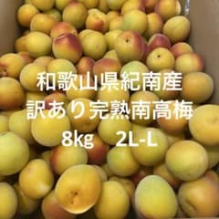 和歌山県紀南産 訳あり完熟南高梅8㎏ 2L-L - メルカリ