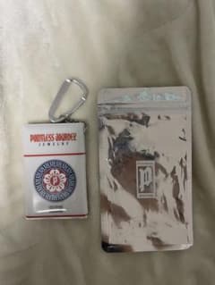 POINTLESS JOURNEY MINI WALLET KEY CHAIN - メルカリ
