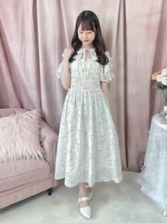 evelyn 2022 ワンピースのサムネイル