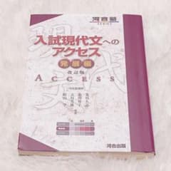 入試現代文へのアクセス 発展編のサムネイル