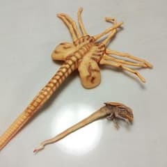 1/1 SCALE  ALIAN　エイリアンのサムネイル