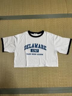 DELAWARE 1787 テキストプリント Tシャツ Mサイズ