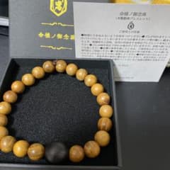 -真天地開闢集団-ジグザグ 命様のお数珠のサムネイル
