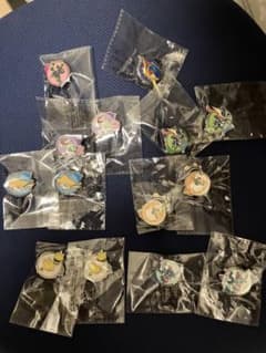 WCS2026 Pin rally ピンズ　14個セットのサムネイル