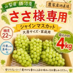 【ささ様専用】山梨県勝沼産 シャインマスカット 約4kg 家庭用のサムネイル