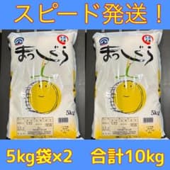 まっしぐら　青森県産米　10kgのサムネイル