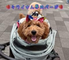 ミライさん専用ページのサムネイル