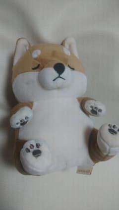 Earth Wind セキグチ製ぬいぐるみ 超希少 かめ 海亀 お760. | Shop at