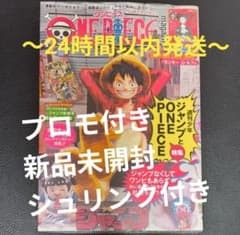 ONE PIECE magazine ワンピースマガジン 20号プロモ付き最安値 - メルカリ