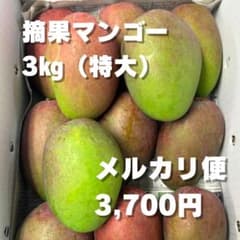 摘果マンゴー 箱込み3kg 特大 (1玉約200g以上) - メルカリ
